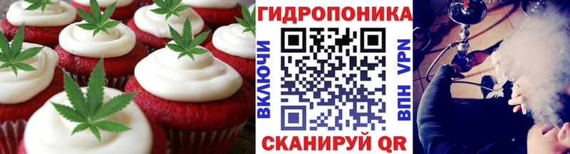 гидра как зайти Домодедово Canna-Cookies марихуана продажа наркотиков