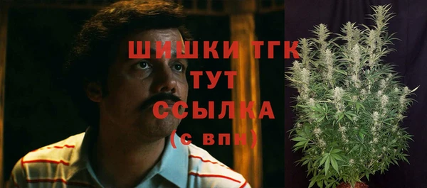 гидропоника Магас