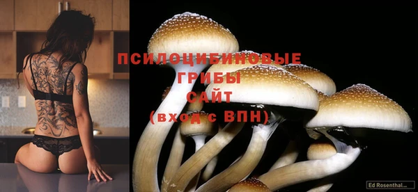 мдпв Магадан