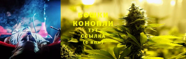 амф Кадников