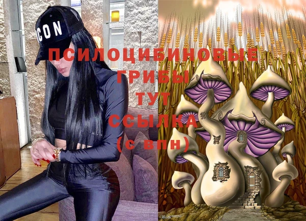 мдпв Майский