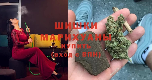 2c-b Краснослободск