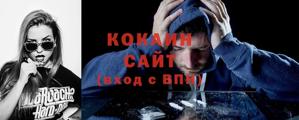 мдпв Майский
