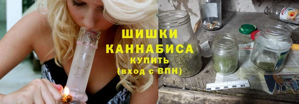 дмт Нестеровская