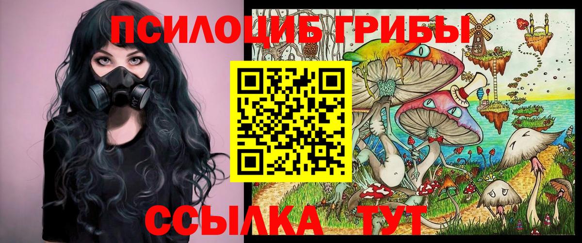 Псилоцибиновые грибы мухоморы Домодедово
